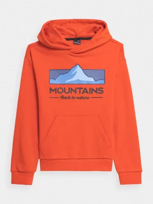 Hodies & sweatshirts Art#6044